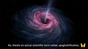 1.1K views · 25 reactions | What happens if you fall into a black...