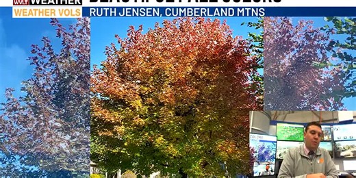 Fall color for leaves peak in Great Smoky Mountains National Park