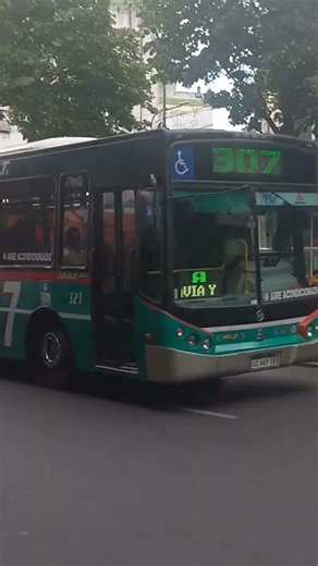 Linea 307 int. 323 (TB Pompeya III)