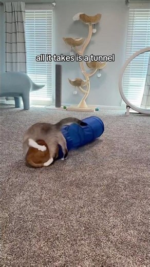 the power of the tunnel