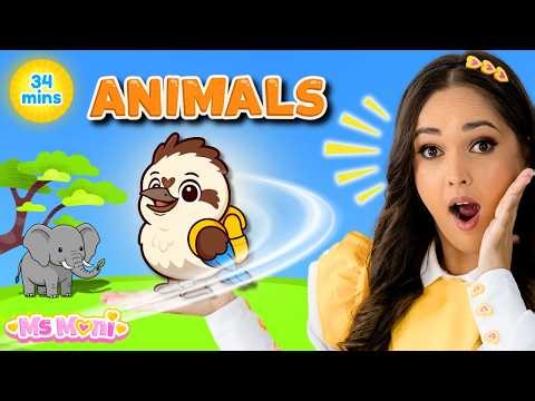 Animals for Kids with Ms Moni & Kookie the Kookaburra | Toddler Learning Video