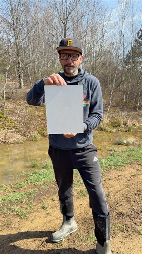 Revealing the first Plein air of the year #arte #oilpainting #painting