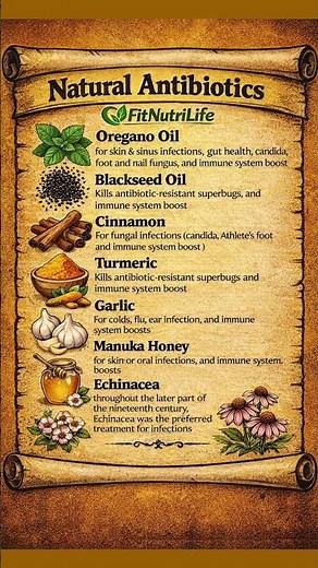 Natural Antibiotics That Actually Work | Boost Immunity Naturally #healthylifestyle