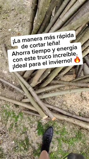 ​¡La manera más rápida de cortar leña! 🪵 Ahorra tiempo y energía con este truco increíble. ¡Ideal para el invierno! 🔥 ​#leña #madera #trucos #campo @Dnipro M