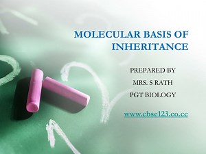 PPT - MOLECULAR BASIS OF INHERITANCE PowerPoint Presentation, free download - ID:9579759
