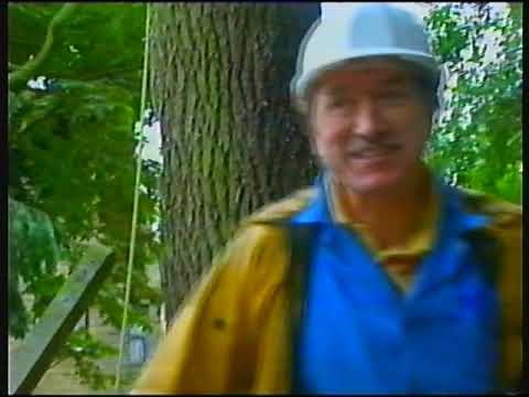 BBC ONE | A Life Of Grime: Mr. Trebus and continuity | 13th October 2002 | NICAM stereo