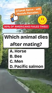 Which animal dies after mating? | Speak Native - With Mostafa Ramadan
