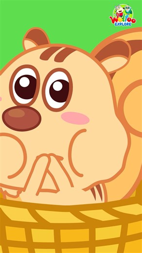 Wolfoo wants to help the Swollen Cheeks Squirrel! ❤️ But actually, there's a reason behind it! Find out now with Wolfoo and Dr. Hoot on Wolfoo Explore on Youtube 🚀 #WolfooExplore #ExploreFunAndEasy #Cartoonforkids | Wolfoo Kids Cartoon