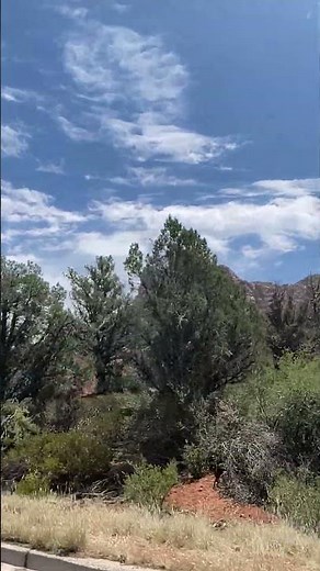 The Sonoran Desert in 16 Seconds: A Biodiversity Hotspot Revealed”