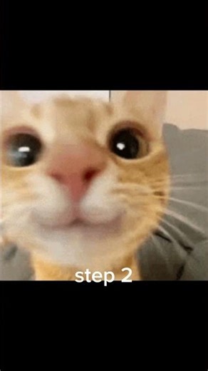 how to draw tutorial part 18 #usefultips #cat #helpful