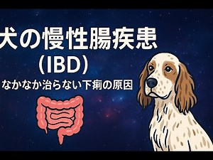 Chronic Intestinal Disease (IBD) in Dogs: Causes of Persistent Diarrhea