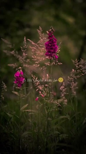 Muskile me ye Dale Jo bhi chahe karale। Ishq risk । Aesthetic status। Loftysthetics। Krushna wagh