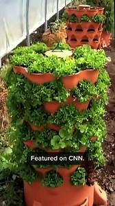 50,000 gardeners across the USA have switched from ground gardening to THIS! ​ Harvest the same yield as a full size yard in just 4 square feet, growing up to 50-plants with minimal footprint. ​ ​ "I have 3 and will be ordering another. I switched from the Greenstalk system and will never go back. This system is simply superior in every possible way. The quality of components, ease of use and the fact it is made in the USA make it incomparable! ~ Donna M. ⭐⭐⭐⭐⭐ ​ ​ Hundreds more reviews and a ga
