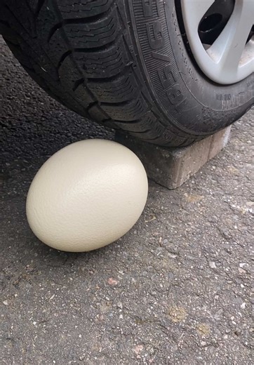 Coca Cola, Fanta, Sprite and Mentos Experiment