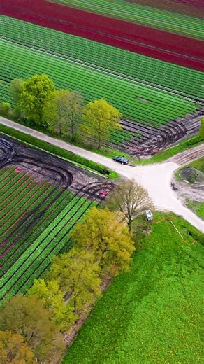Turn Your Farm Into Cash: Crop Farming Hacks