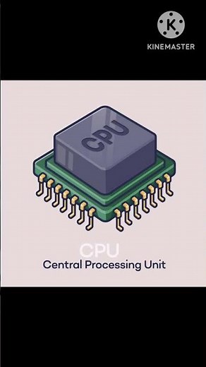 What is Microprocessor