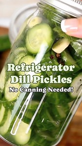 Homemade pickles have never been easier! 🥒This refrigerator pickle recipe delivers perfectly crisp, flavorful pickles every single time, without the need for canning. This is my go-to pickle recipe and they taste AMAZING on burgers!! 🍔 Ingredients: 20 pickling cucumbers 4 cups water 2 cups white vinegar 1 Tablespoon sugar 2 Tablespoons salt Fresh dill Fresh garlic Peppercorns Prep Time: 30 minutes Chill Time: 2-3 days Store in fridge for up to a month #homemadepickles #dillpickles | The Soccer