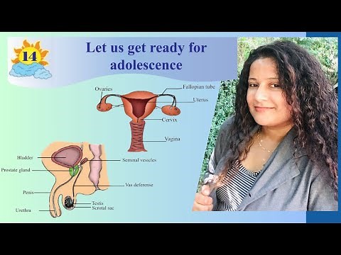 What Really Happens During Puberty? Grade 7 Health Education - Let us get ready for adolescence - 14