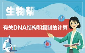 有关DNA结构和复制的计算