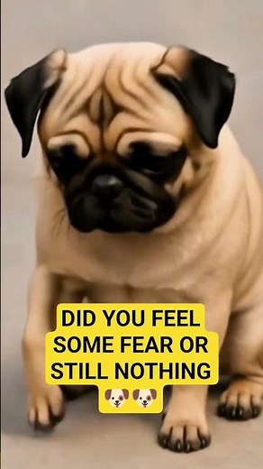 “GIANT PUG TRANSFORMATION?! 🐶💥 You Won’t Believe What He Becomes!”