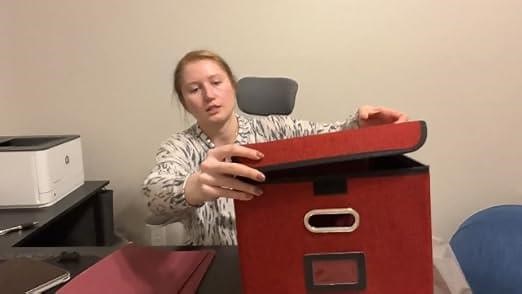 Fashionable file storage box