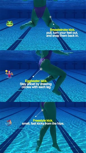 How to stay afloat. Freestyle leg kick. Breaststroke leg kick. Eggbeaters leg kick. Swim tips for beginners. Swimming basics for adults. #swimming #swim ##swimtips