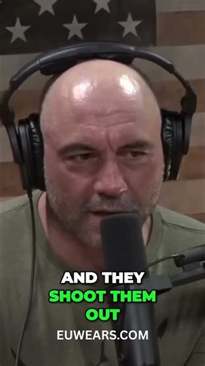 Bird VS Wolf... #fighting #birds #wolf #euwears #viral