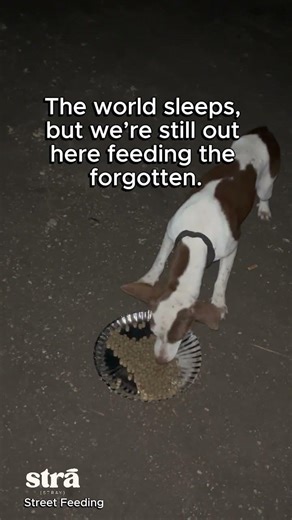 While the city rests, hunger doesn’t. 🌙🐶