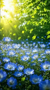 仮眠・パワーナップ・１５分仮眠 /脳を休める/自律神経を整える/お昼寝BGM/睡眠導入/瞑想/ #relaxing #healingmusic #meditation