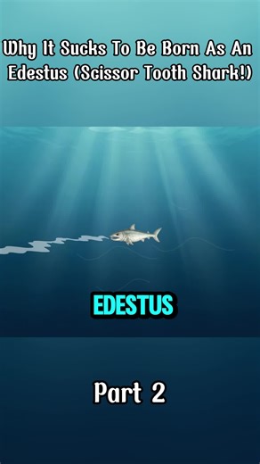 Why it sucks to be born as an edestus(scissor tooth shark!)#animals #edestus