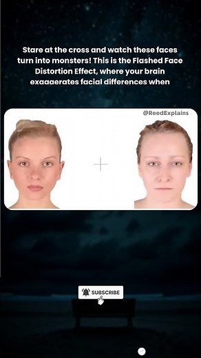 How Your Brain Distorts Reality Real-Time
