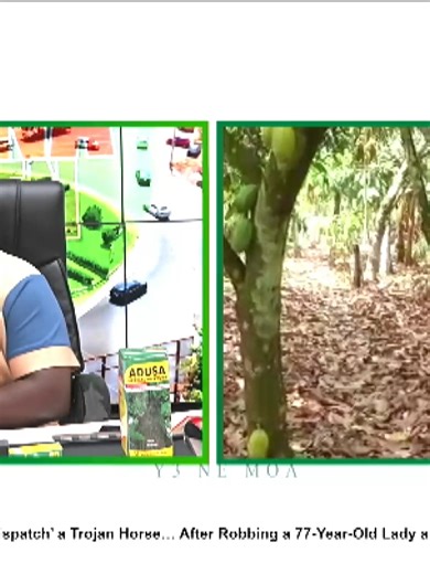 Gyasi Newlove on Agriculture and Wickedness in Politics