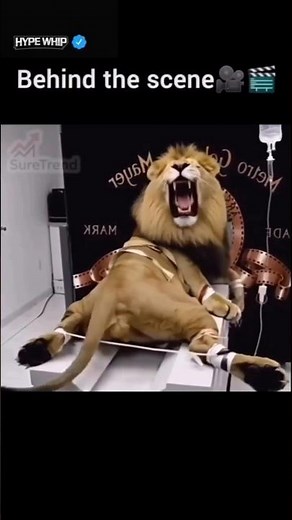 The Iconic Metro-Goldwyn-Mayer (MGM) Logo. #ytshorts #viral