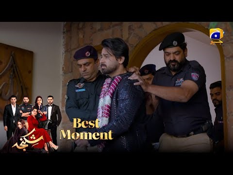 Shikanja Episode 55 | 𝐁𝐞𝐬𝐭 𝐌𝐨𝐦𝐞𝐧𝐭 𝟎𝟑 | Azekah Daniel - Asad Siddiqui - Furqan Quresh | Har Pal Geo