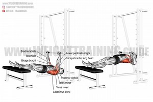 Weighted inverted row exercise guide and video | Weight Training Guide