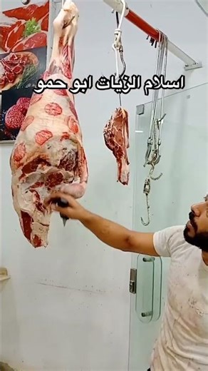 #اسلام_الزيات_ابو_حمو #اسكندريه #صباحكم_ورد