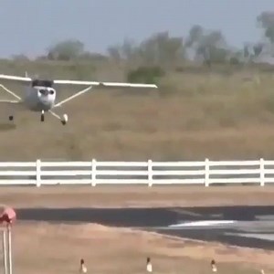 1.2M views · 3.7K shares | Cessna and car Collision  2012 incident in Texas. Car was deemed 100% at fault for ignoring all stop and other warning signs about aircraft landings taking place. | The Aviator's Cafe | Facebook