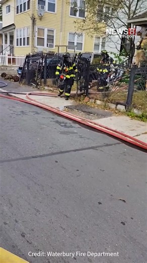 Video shows firefighters rescuing four puppies from a Waterbury home on Tuesday. | WTNH News 8