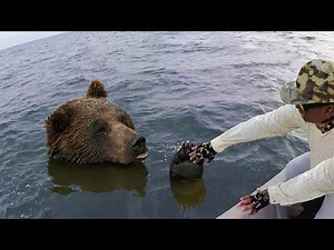 Animals who asked for help and found kindness in return