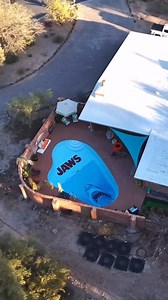903K views · 19K reactions | Thank you @jason_thirty1 on IG for sharing this JAWS-ome video of your pool restoration with us! Did you know: the Ben Gardner head scene was shot in JAWS editor Verna Field's swimming pool! | The Daily Jaws | Facebook