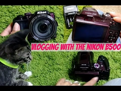 BACK TO BASICS: HOW TO VLOG WITH THE NIKON B500 | VLOGGING CAMERA UNDER 300 BUCKS