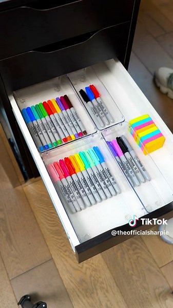 Organize this Sharpie collection with us! Can you spot anything new? 👀 #Satisfying #Sharpie #Organize #ASMR #Restock