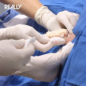 471K views · 7.8K reactions | Have you ever seen a more satisfying cyst pop 朗 #DrPimplePopper | Really Channel | Facebook