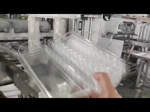 PET plastic clamshell machine