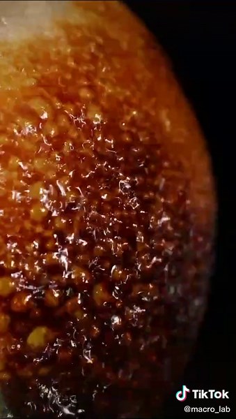 Chupa Chups Crush Macro Video
