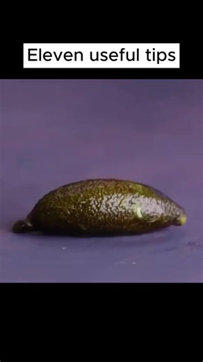 Tech tips to keep you ahead of the curve! 📊 #ReelTipsTechHub #TechKnowHow #ReelTechAdvice #TechTipsAndTricks #ReelTechMasters #TechGuide #ReelTechNews #TechDaily #ReelTechUpdates #TechFocus #ReelTechJourney #TechInsightsDaily #ReelTechWorld #TechNews #ReelTechGuidance #TechSupport #ReelTechCommunity #TechExpertise #ReelTechInfoHub #TechDiscovery #ReelTechBuzz #TechTalk #ReelTechGeek #TechHubReels #ReelTechTools #TechEssentials #ReelTechGadgets #TechTipsDaily #ReelTechContentHub #TechLifestyle #