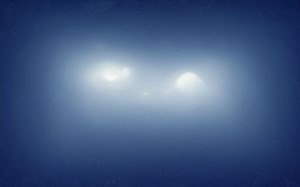 What are the 4 main types of vegetables? [2025] | QAQooking.wiki