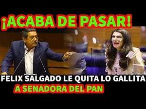 ¡ACABA DE PASAR! FELIX SALGADO LE QUITA LO GALLITA A SENADORA DEL PAN