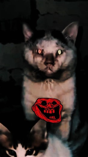 💀 Cat Aura 10000000+