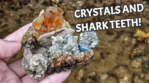 We Found Calcite Crystals and Fossil Shark Teeth in a Hidden Florida Creek
